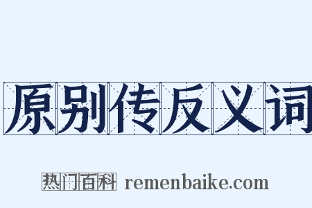 原别传反义词是什么意思的图片